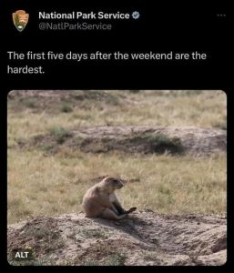 Stupid Bar Memes spyE5M3