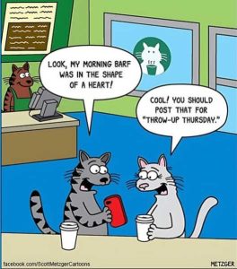 Stupid Bar Memes starorningsbarfsshape