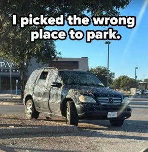 Stupid Bar Memes subsbuzzs4818s1697914870s1