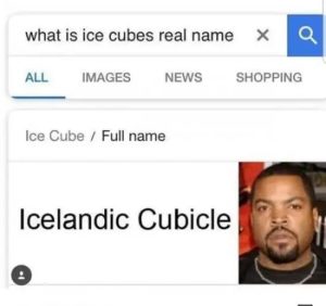 Stupid Bar Memes wxMnYq1