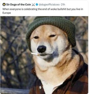 Stupid Bar Memes xsebratingsendsofswo