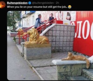 Stupid Bar Memes xsonsresumesbutsget