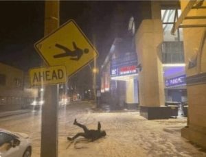 Stupid Bar Memes 031924ssers95s618x472