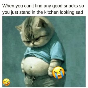 Stupid Bar Memes 08s383902