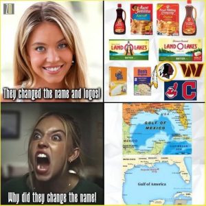 Stupid Bar Memes 0bf510873018