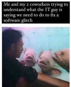 Stupid Bar Memes 3393d058d90367