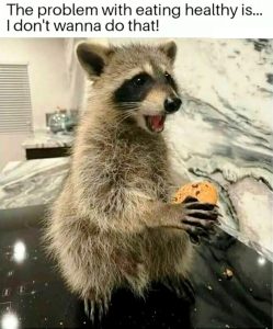 Stupid Bar Memes 47648429 366519