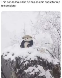 Stupid Bar Memes 67982b47ed4f0