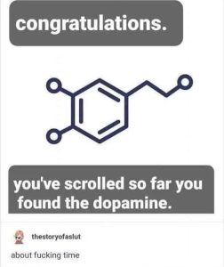 Stupid Bar Memes 679d39a443f21