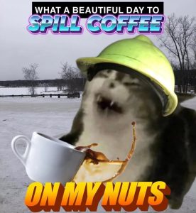 Stupid Bar Memes 679d42649d05a