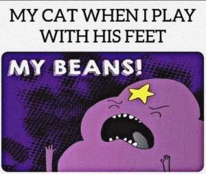Stupid Bar Memes 679d428cf2e59