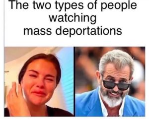 Stupid Bar Memes 679da7edc56fe
