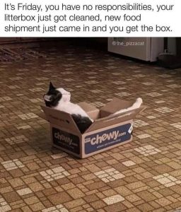Stupid Bar Memes 67a5c6c56cb02