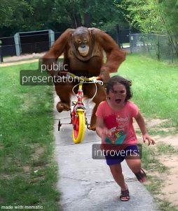 Stupid Bar Memes 67a60a4592b9d