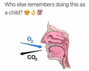 Stupid Bar Memes 67a8175260d29