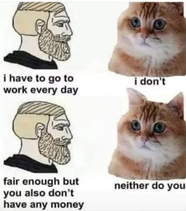 Stupid Bar Memes 67ac5b14e8bb9
