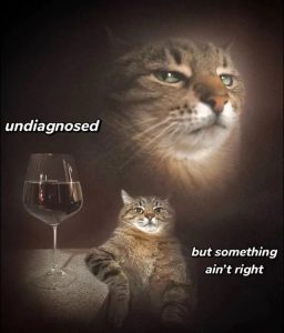Stupid Bar Memes 67adb65de9cce