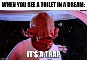 Stupid Bar Memes 67af002f637a0