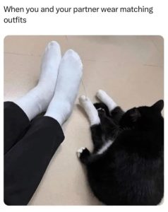 Stupid Bar Memes 67af0079cf973