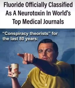 Stupid Bar Memes 67af58e73f96c
