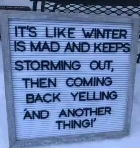 Stupid Bar Memes 67afba141d0c9