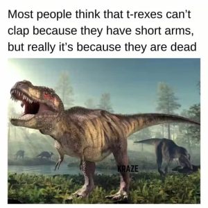Stupid Bar Memes 67b44fe99b453