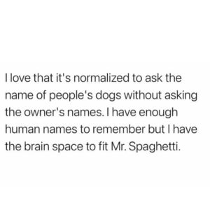 Stupid Bar Memes 67b514f07894b