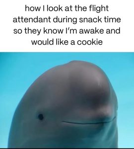 Stupid Bar Memes 67bb002aae356