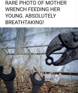 Stupid Bar Memes 67bc91372a93b