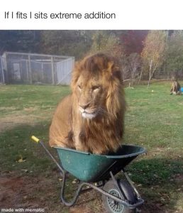 Stupid Bar Memes 67bdae00a5613