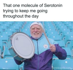 Stupid Bar Memes 67bdb00d0bf1c