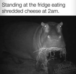 Stupid Bar Memes 914074969s1447