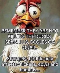 Stupid Bar Memes 936772d6f3d92b44