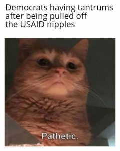 Stupid Bar Memes 9c8a210b345c6786d