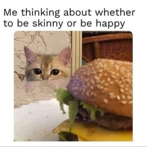 Stupid Bar Memes a9yz801s700b