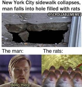 Stupid Bar Memes a9yzZp0s700b