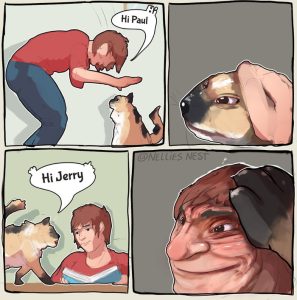 Stupid Bar Memes aoyWvN0 sb