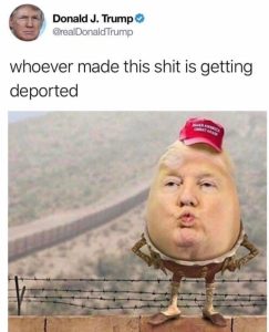 Stupid Bar Memes aryWdg7s700b