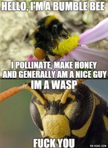 Stupid Bar Memes avyWM8b sb