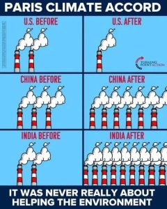 Stupid Bar Memes b735f68c7af42568