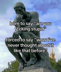 Stupid Bar Memes bornstosckingsstupid