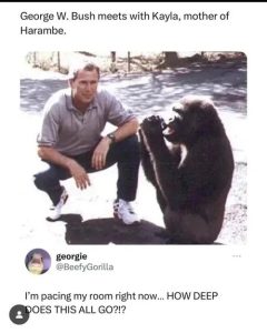 Stupid Bar Memes c0a12445a04cfe
