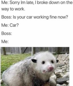 Stupid Bar Memes carsbosssbrokewnswaystoswork