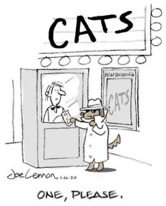 Stupid Bar Memes catsspladisguised