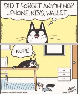 Stupid Bar Memes catsysstableskno