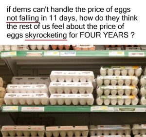 Stupid Bar Memes cba54e5fb02c4d410