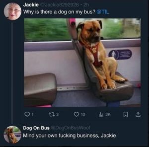 Stupid Bar Memes cbe94a9640ed8