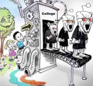 Stupid Bar Memes collegesalsfactorysre