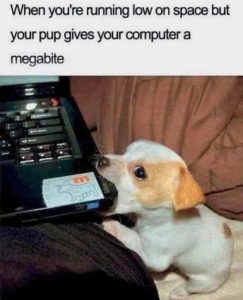Stupid Bar Memes computpsmegabi