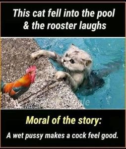 Stupid Bar Memes d814b7db67480c1